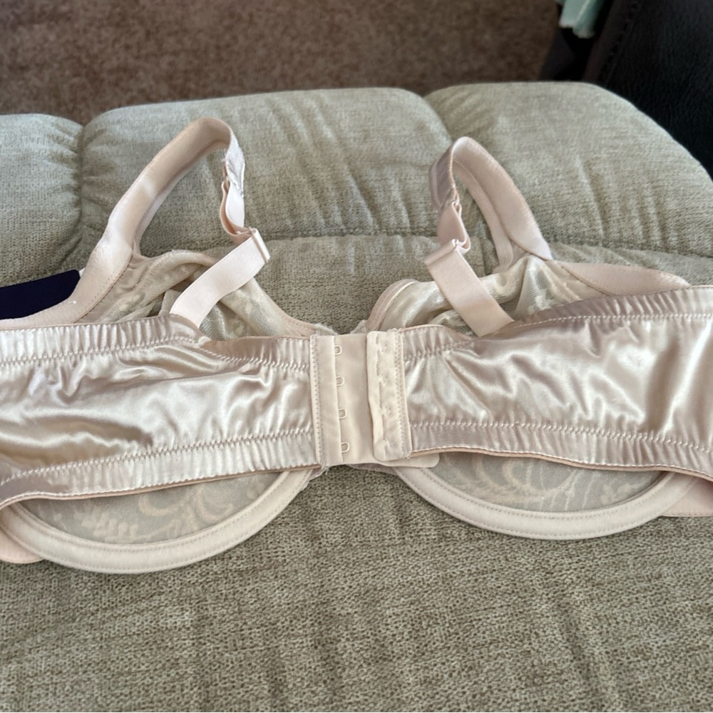 Vintage Vanity Fair Sheer Botantical Full Figure Underwire Bra Size 38DD - Picture 7 of 10